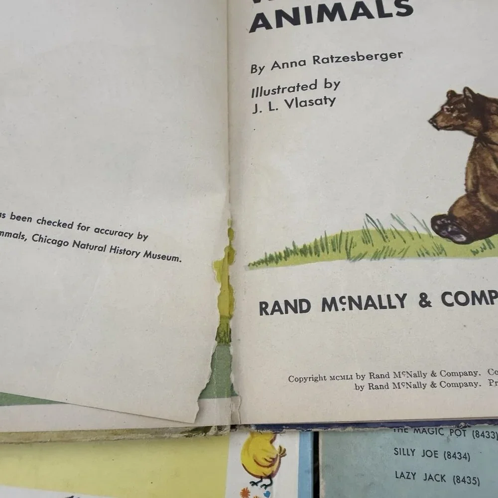 ✅Mixed Lot Of 28 VTG HC Childrens Books Rand McNally Wonder Books and Various - Picture 12 of 16